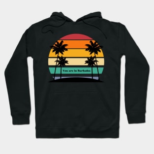 "You are in Barbados" a Neville Goddard inspired sticker Hoodie